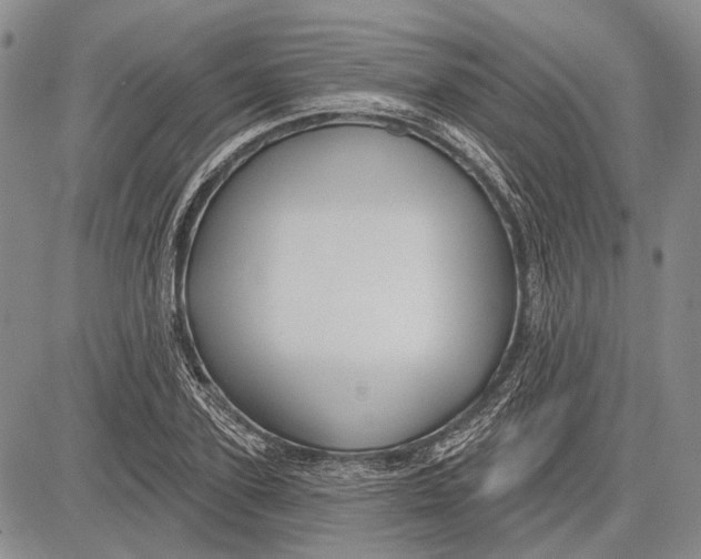 X0000081600931200702051325