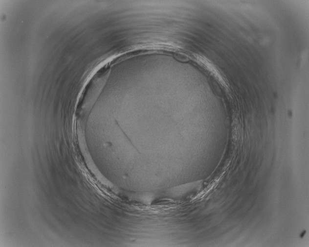 X0000081600932200702051325