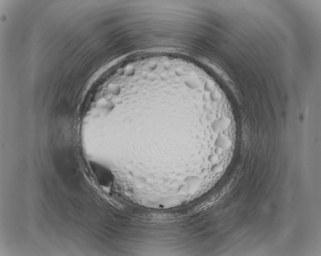 X0000081600933200702051325