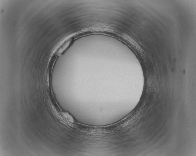 X0000081600934200702051325