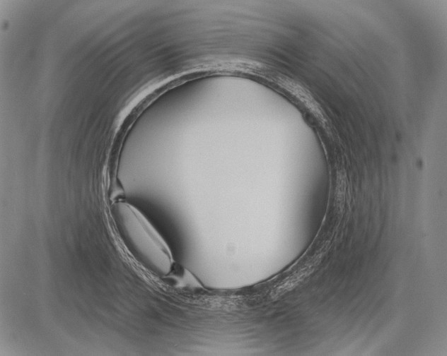 X0000081600936200702051326