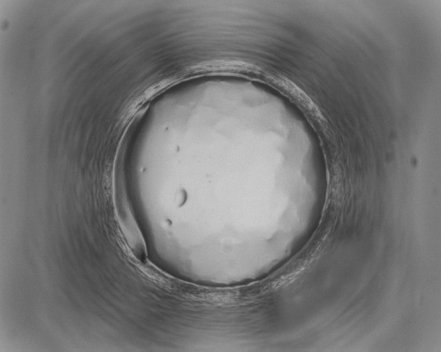 X0000081600937200702051326