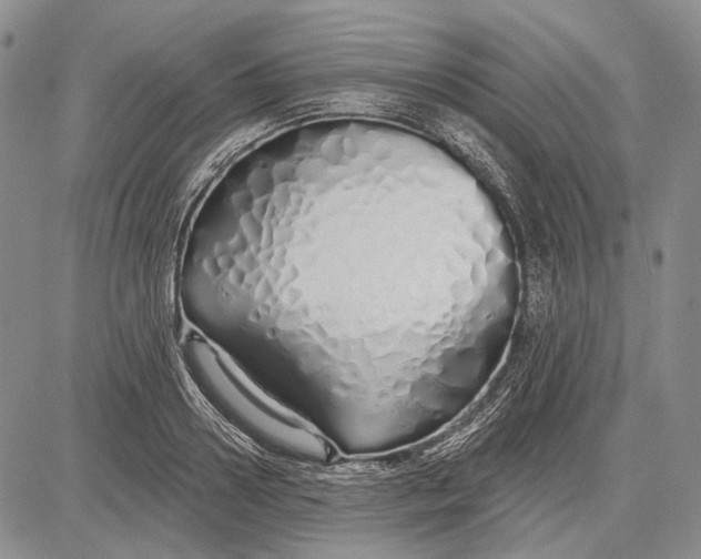 X0000081600938200702051326