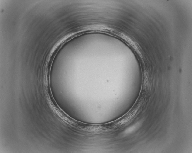 X0000081600939200702051326