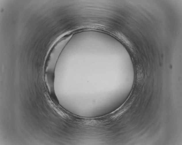 X0000081600940200702051326