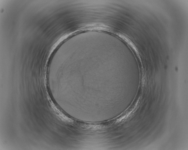 X0000081600941200702051326