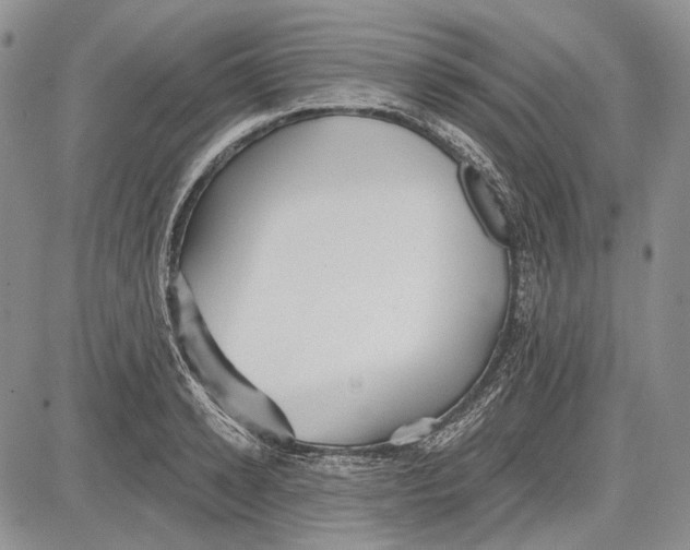 X0000081600942200702051326