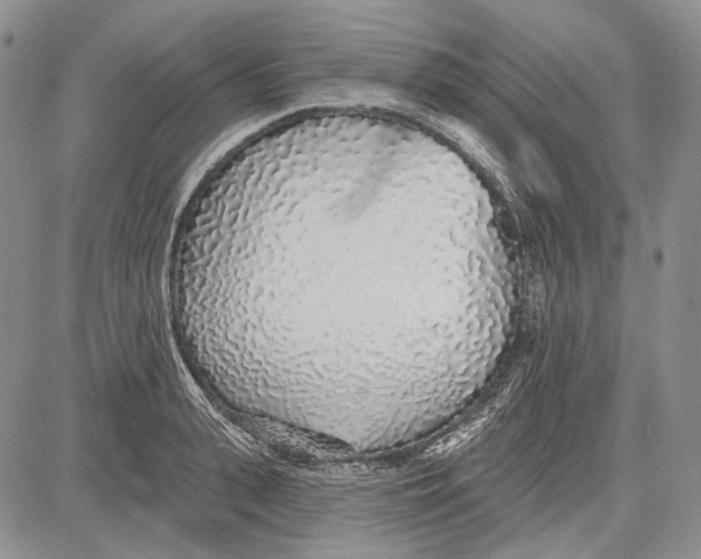 X0000081600943200702051326