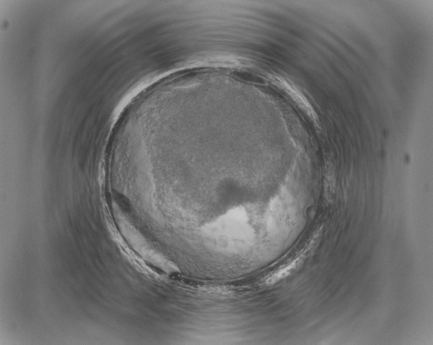 X0000081600944200702051326