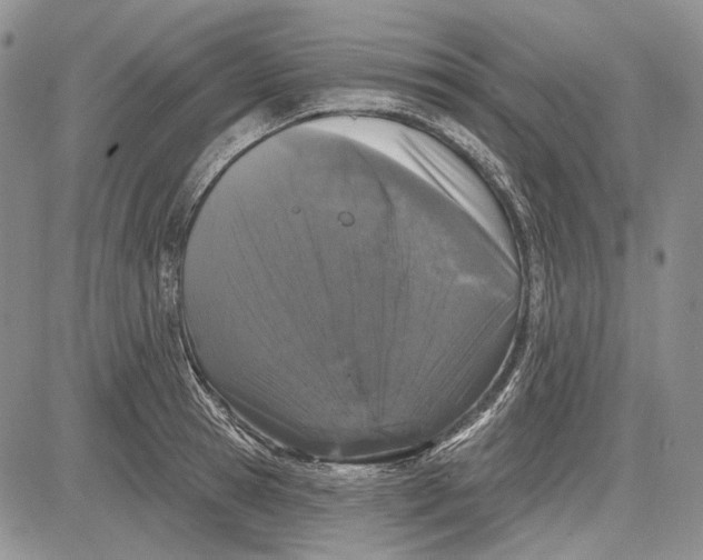 X0000081600945200702051326