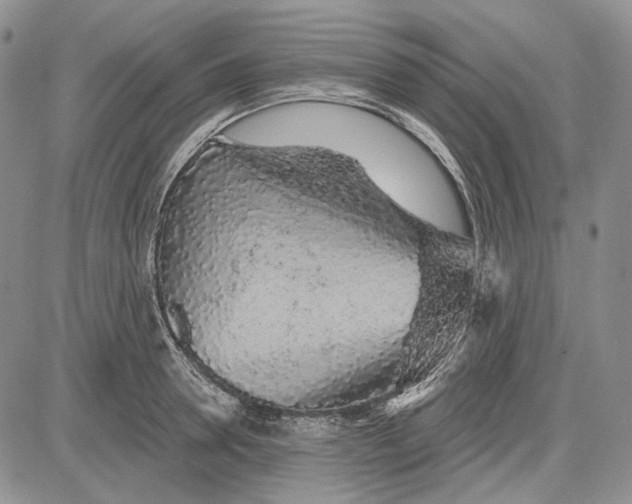 X0000081600946200702051326