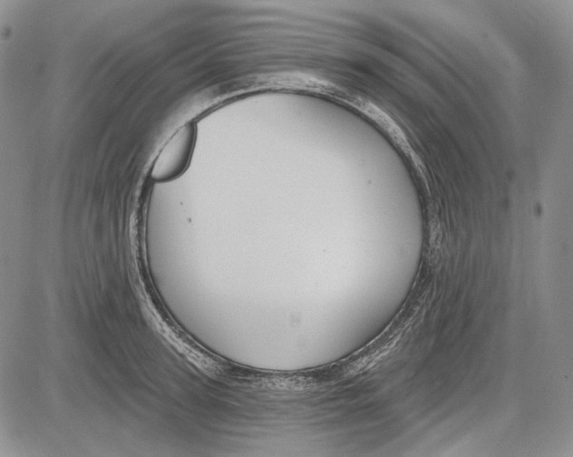 X0000081600947200702051326