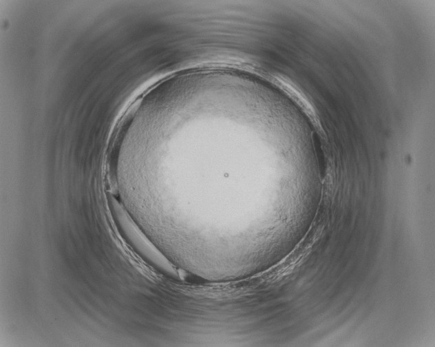 X0000081600948200702051326