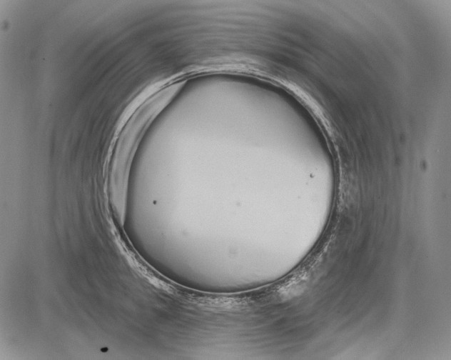 X0000081600949200702051326