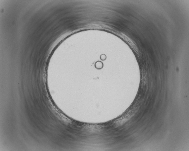 X0000081600950200702051326