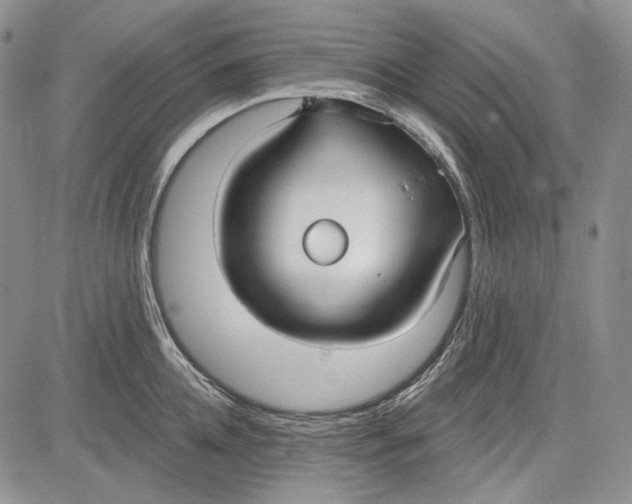 X0000081600952200702051326