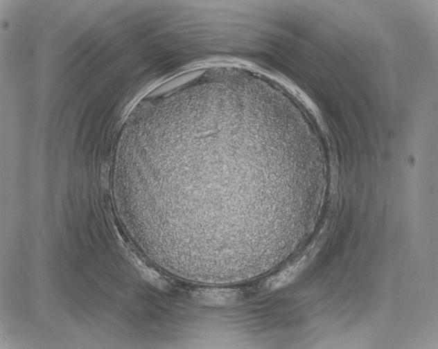 X0000081600953200702051326