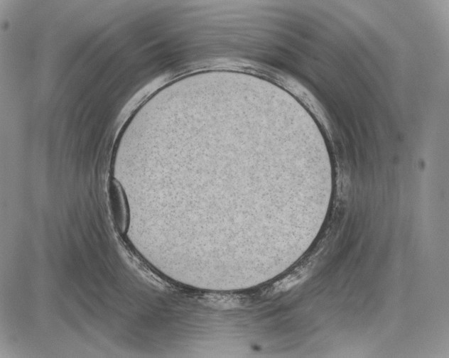 X0000081600954200702051326