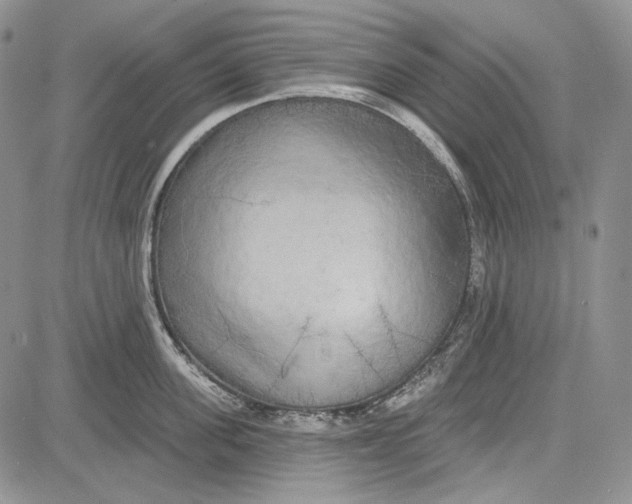 X0000081600955200702051326