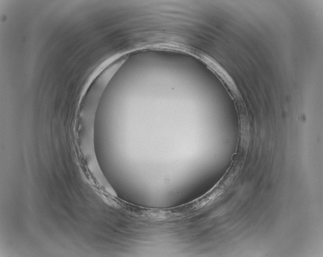 X0000081600956200702051326