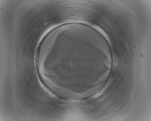 X0000081600958200702051326