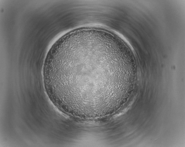 X0000081600959200702051326