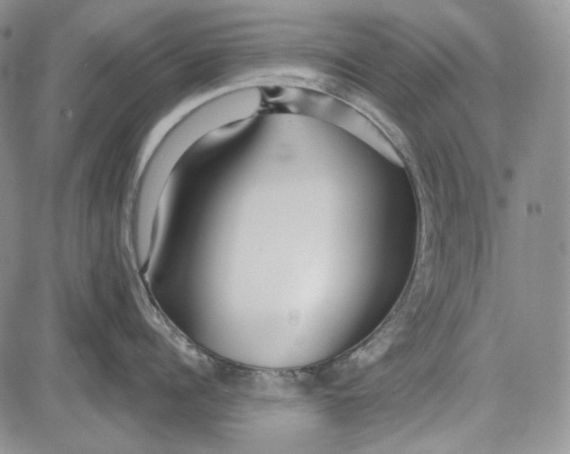 X0000081600960200702051326