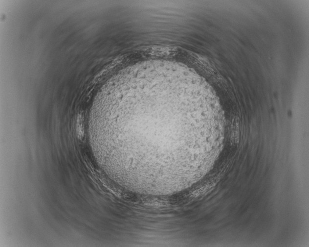 X0000081600962200702051325