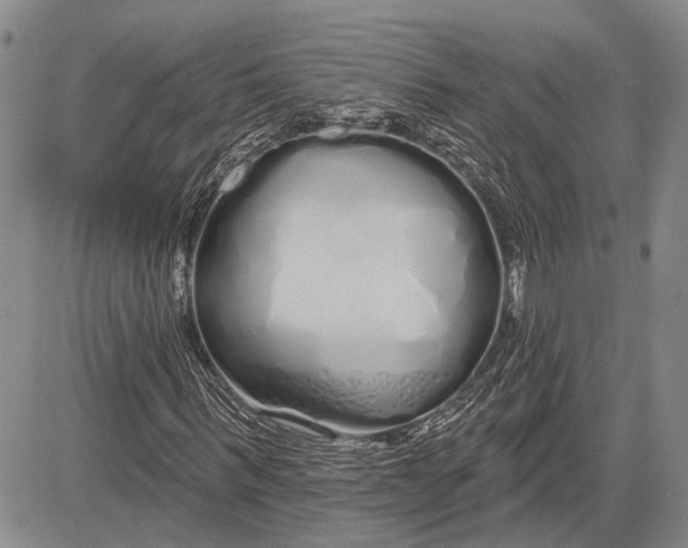 X0000081600963200702051325