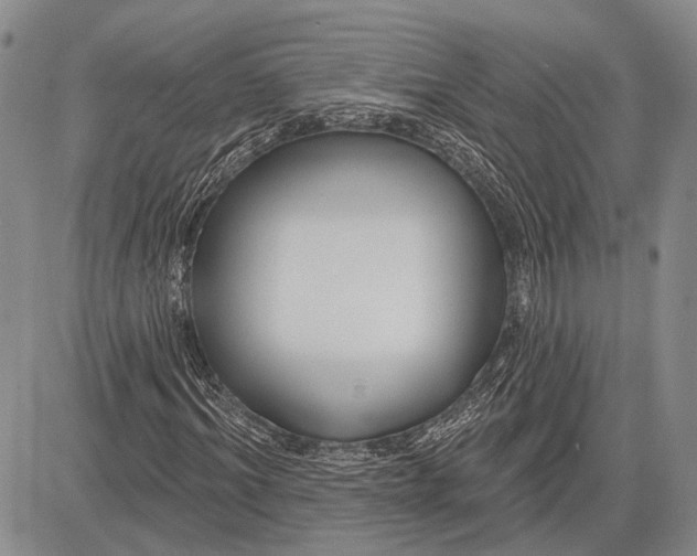 X0000081600964200702051325