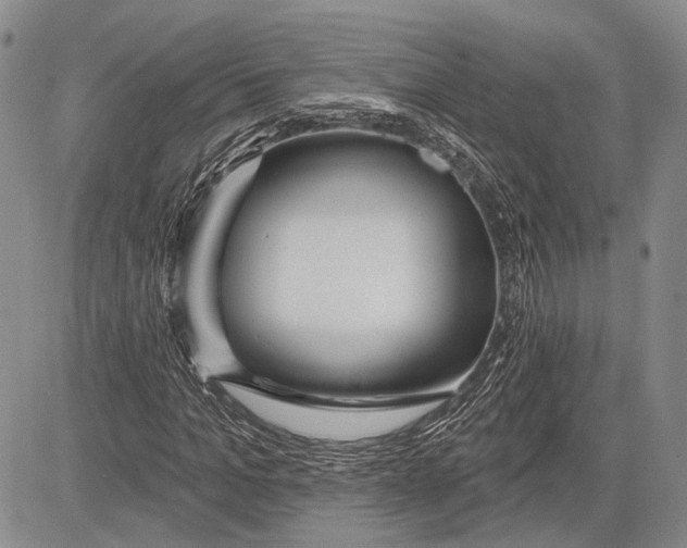 X0000081600965200702051325