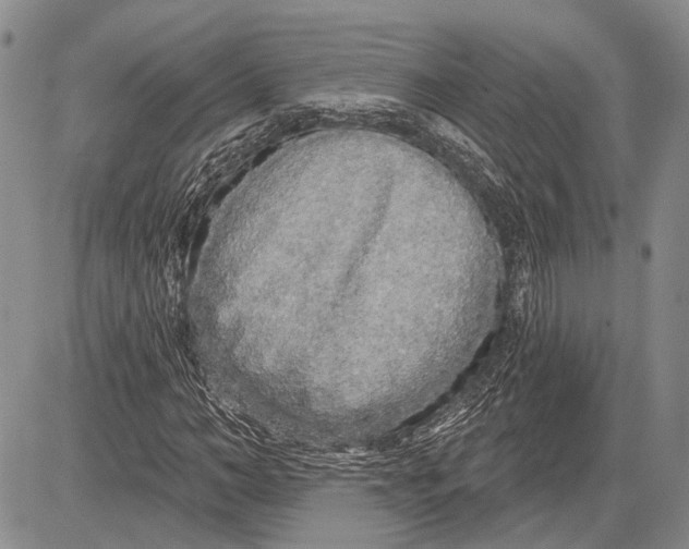 X0000081600966200702051325