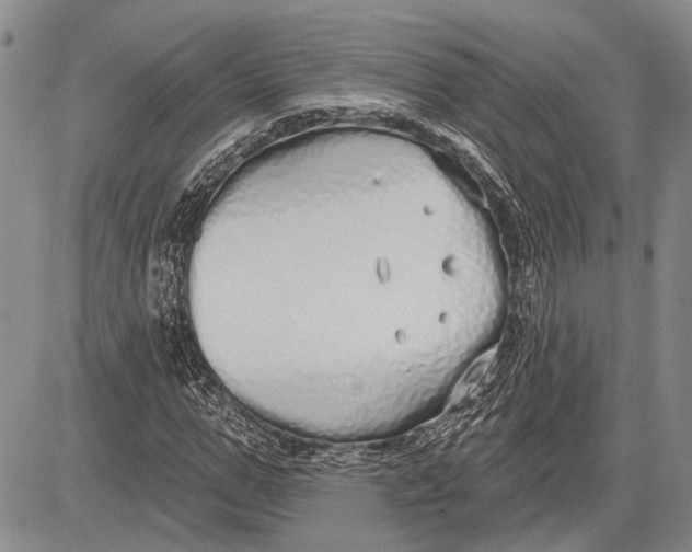 X0000081600967200702051325