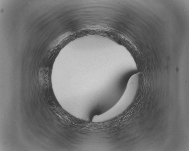 X0000081600968200702051325