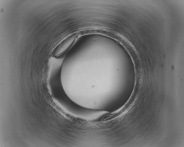 X0000081600969200702051325