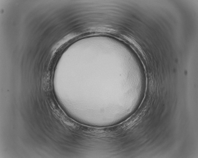 X0000081600971200702051325