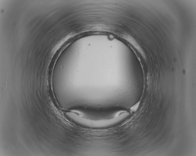 X0000081600972200702051325