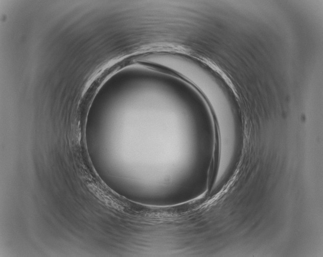 X0000081600973200702051325