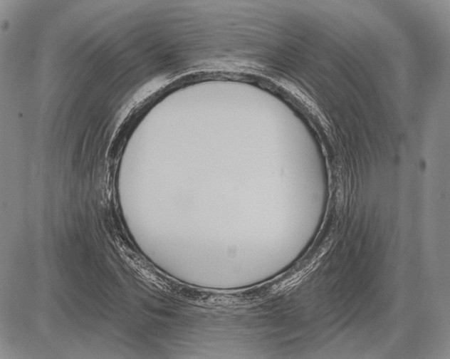 X0000081600974200702051325