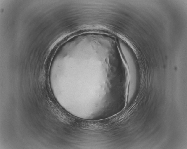 X0000081600975200702051325