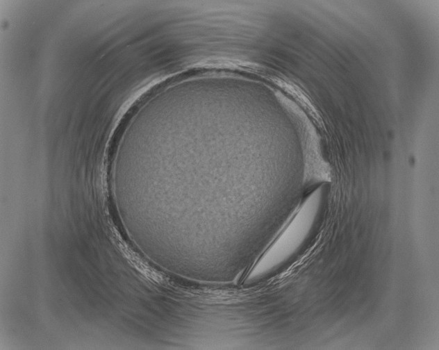 X0000081600976200702051325