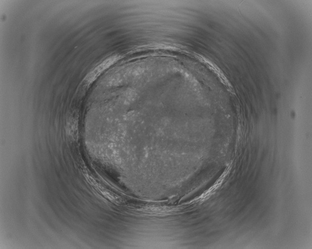 X0000081600977200702051325