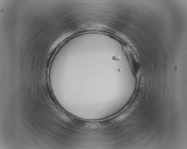 X0000081600978200702051325