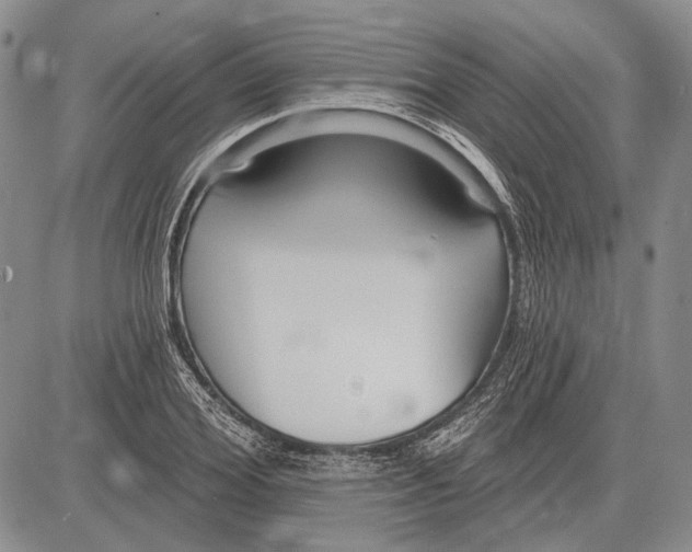 X0000081600980200702051325