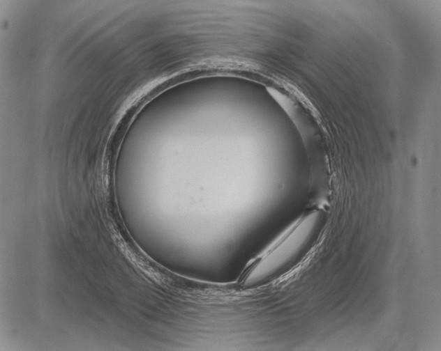 X0000081600981200702051325