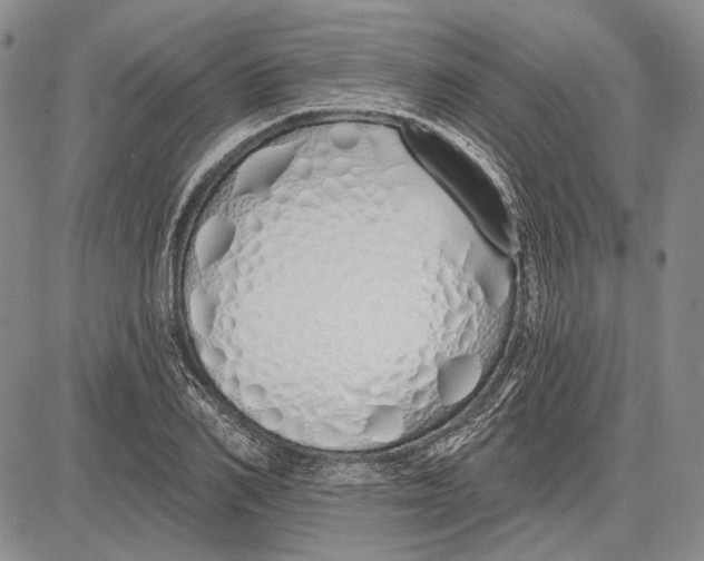 X0000081600982200702051325