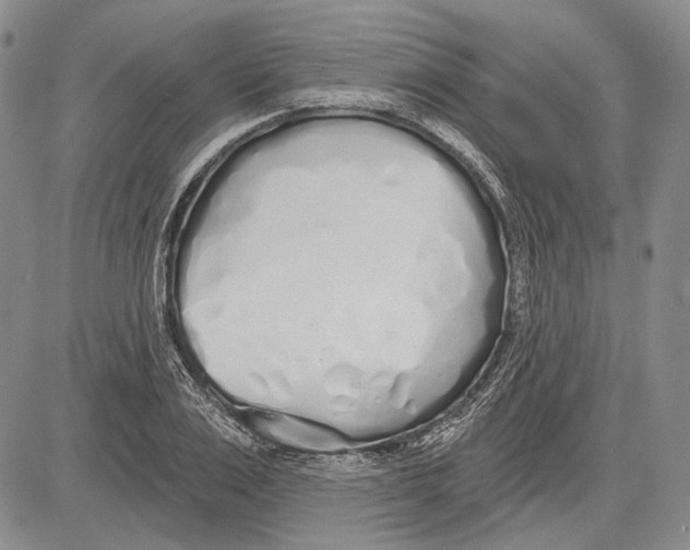 X0000081600983200702051325