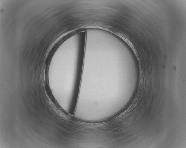 X0000081600984200702051325