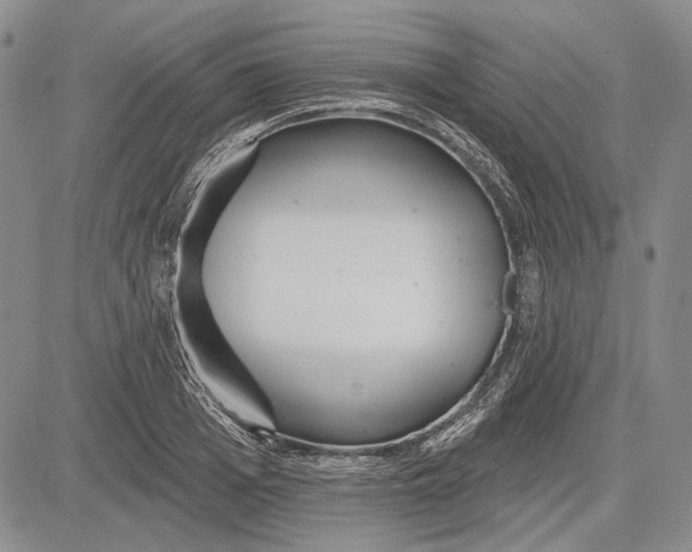 X0000081600985200702051325