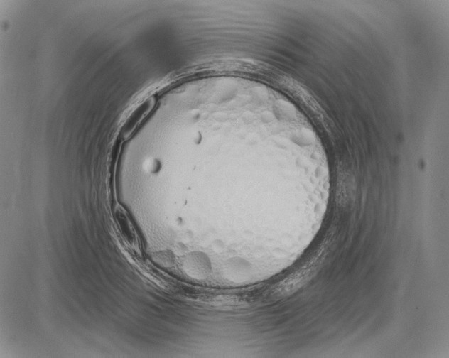 X0000081600986200702051325